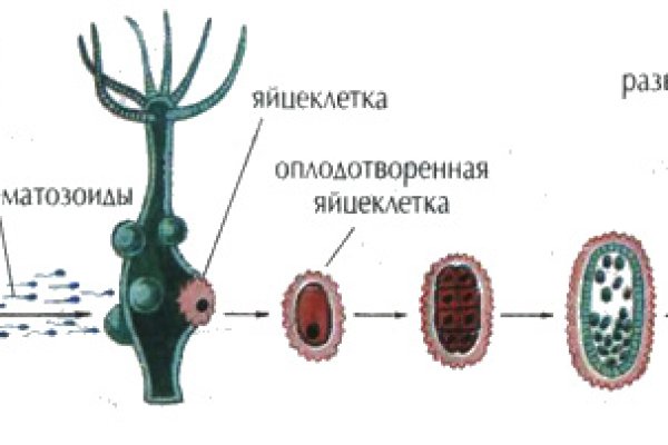 Кракен наркомаркетплейс