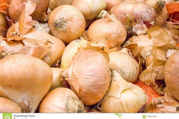 Кракен зеркало onion